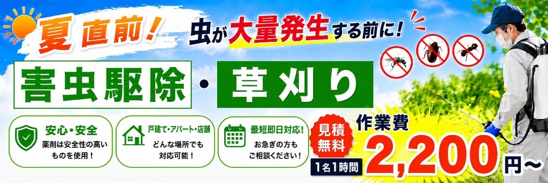 夏直前！虫が大量発生する前に、害虫駆除・草刈り